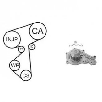 Водяной насос + комплект зубчатого ремня AIRTEX WPK-167801