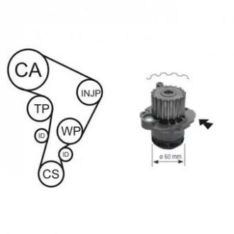 Водяной насос + комплект зубчатого ремня AIRTEX WPK-177701