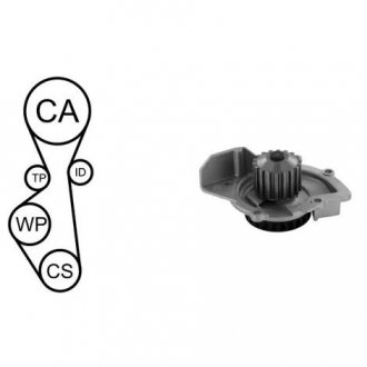 CITROEN К-кт ГРМ (помпа з прокл. + ремінь + 2 ролика) C5 08-,Ford Focus,Kuga,Fiat 2.0HDI/TDCi AIRTEX WPK-195501