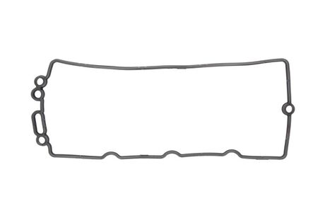 Прокладка клапанної кришки ELRING 456220