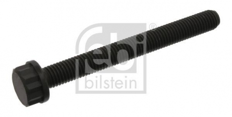 Болт головки FEBI BILSTEIN 09798