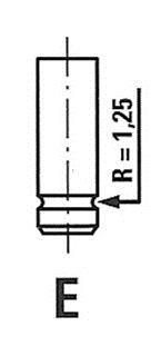 Клапан головки блоку циліндрів двигуна FRECCIA R4934/R (фото 1)