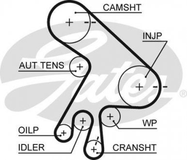 Ремень ГРМ Gates 5562XS
