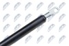 HOOD GAS SPRING Nty AEAU042 (фото 3)